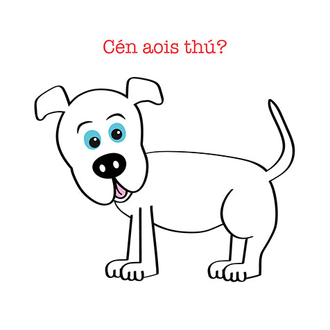 What age are you? Irish language birthday Card - Main Image