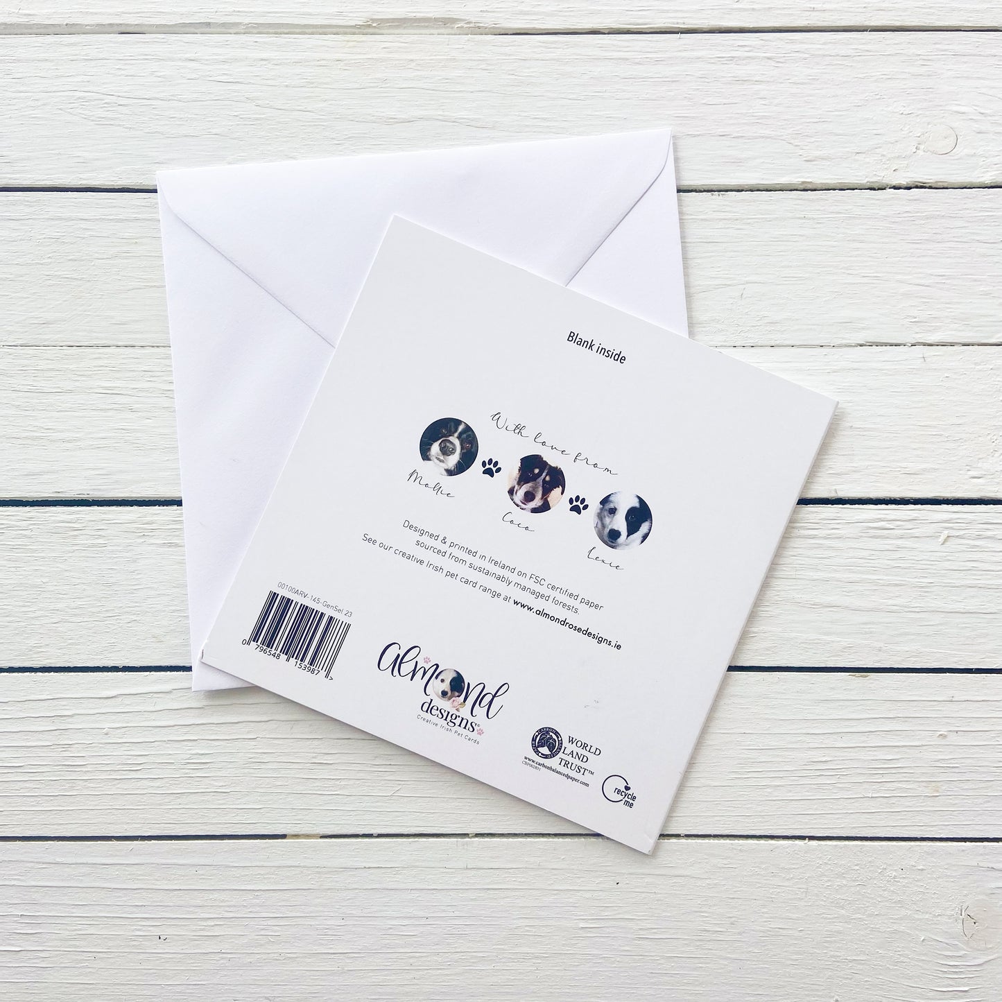 Cutest Ever Dachshund Dog Blank Card