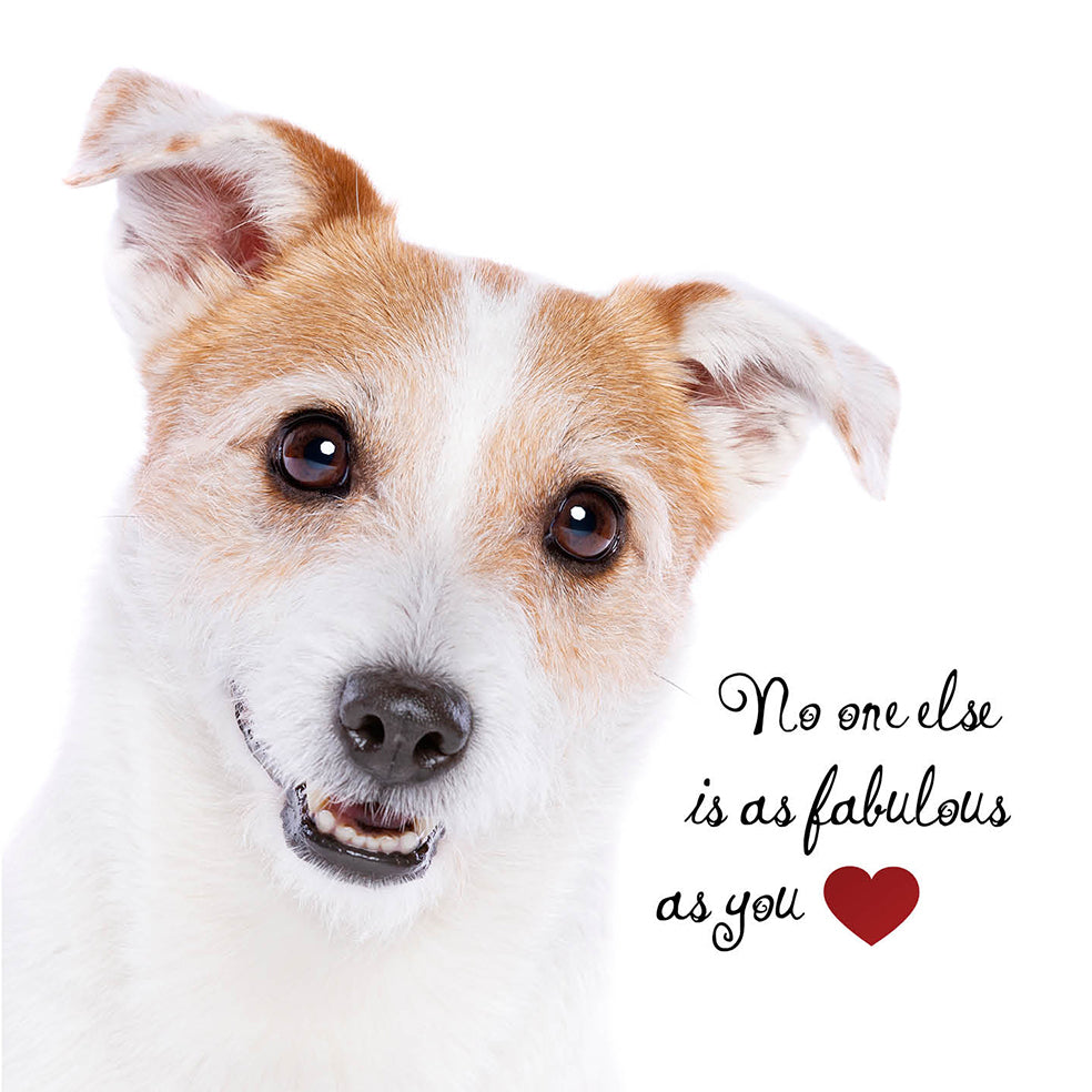 As Fabulous As You Dog Card