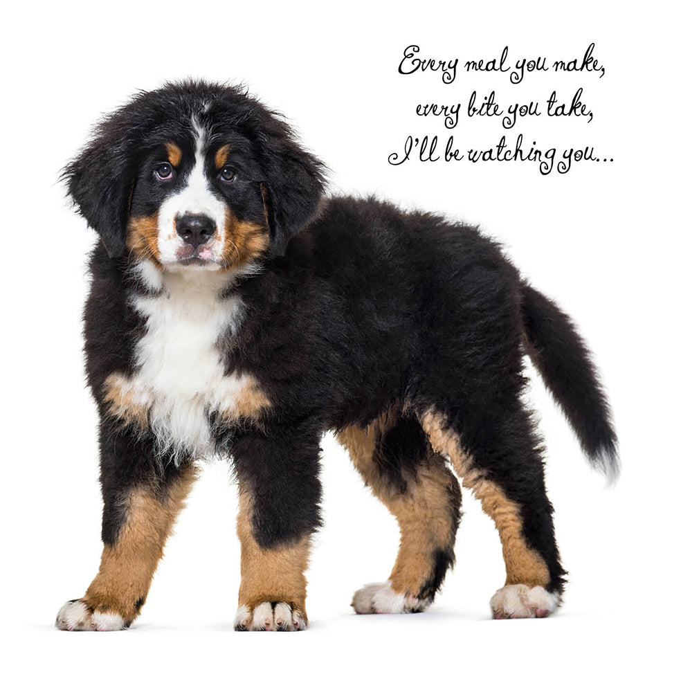 I'll Be Watching You Bernese Dog Birthday Card