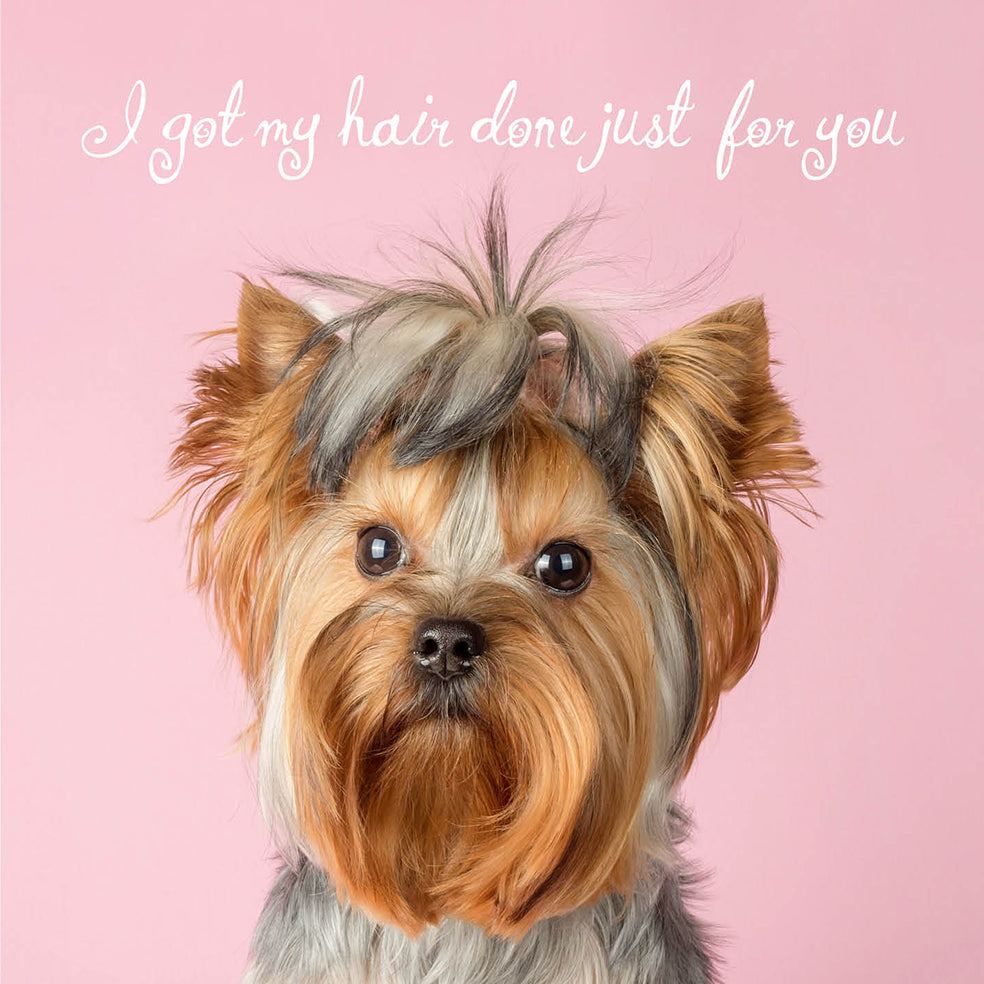 Happy Birthday Yorkie Pink Card