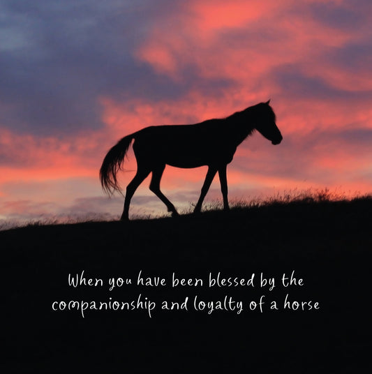 Horse Pet Sympathy Card
