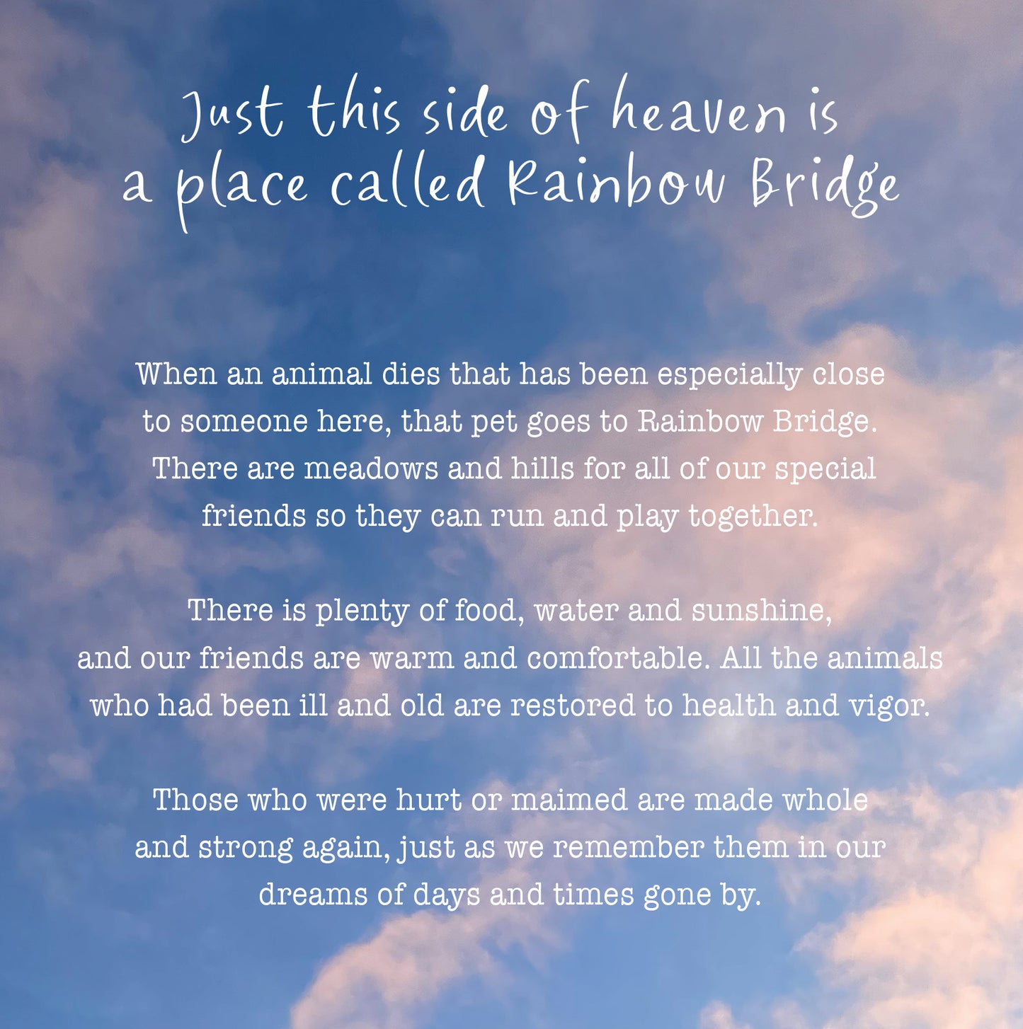 Rainbow Bridge Pet Day Sympathy Card
