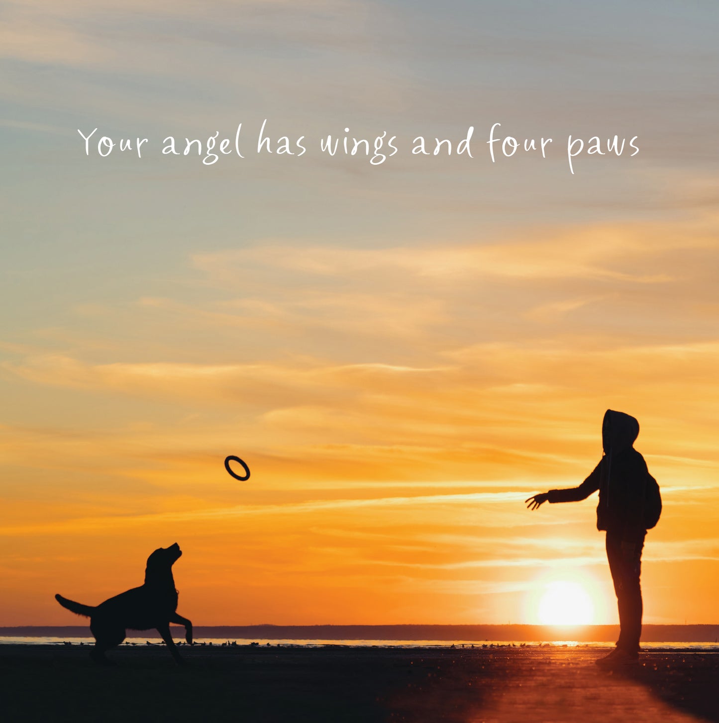 Angel Pet Sympathy Card