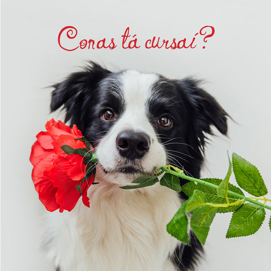 How's Tricks Collie Blank Card - Irish language Card