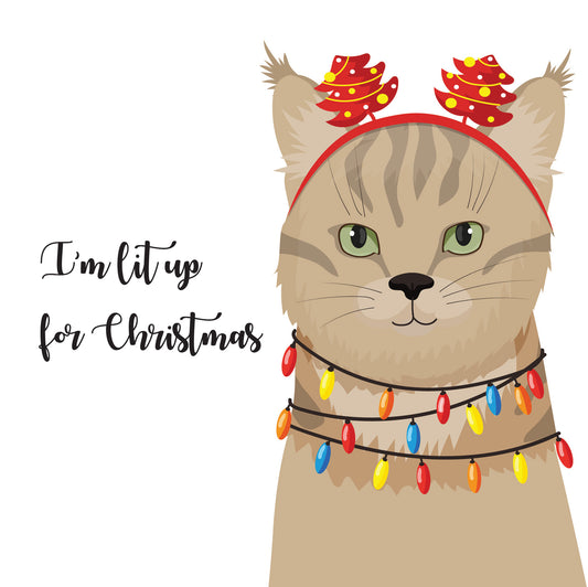 Lit up Cat Christmas Card