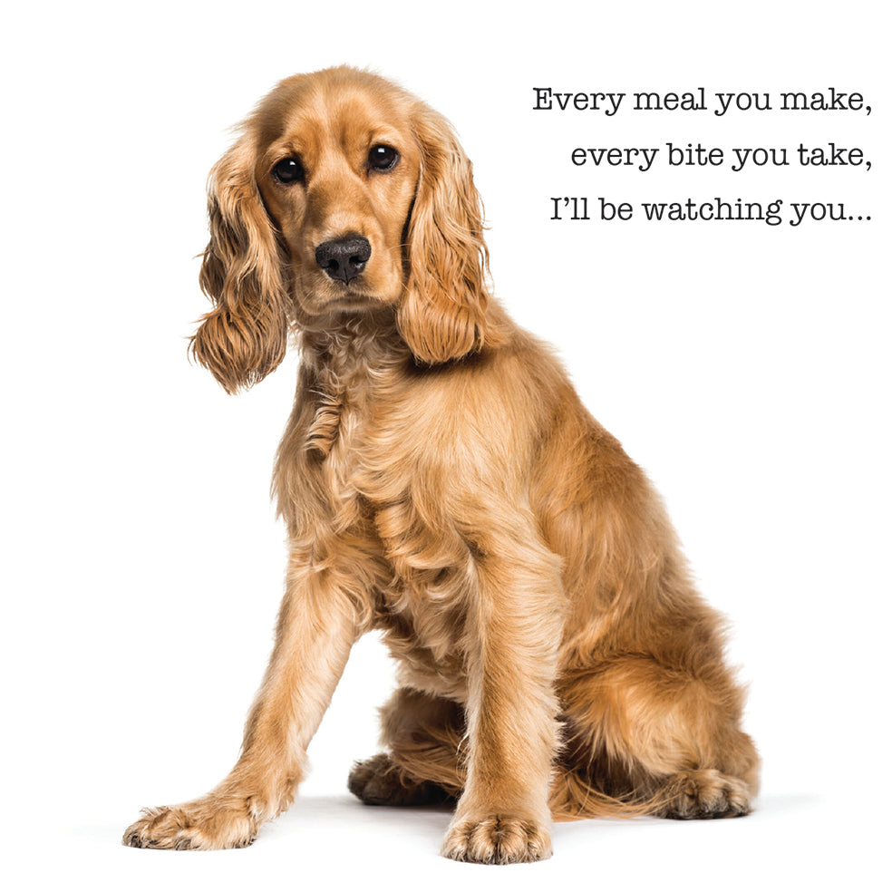 I'll Be Watching You Golden Cocker Dog Birthday Card