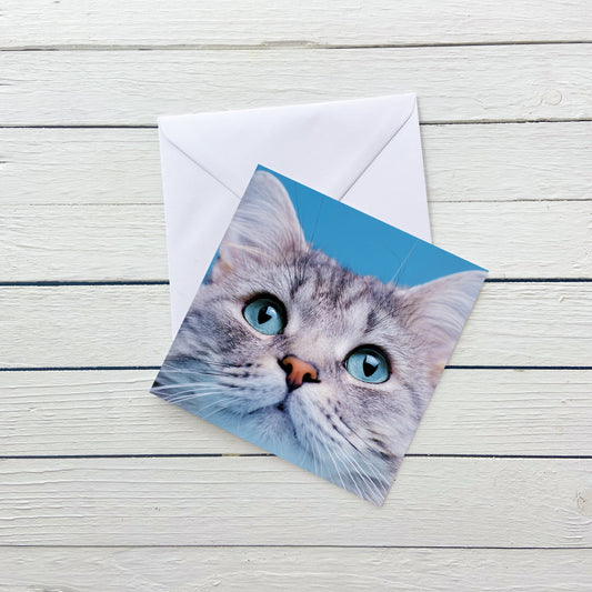 Grey Cat Blank Card