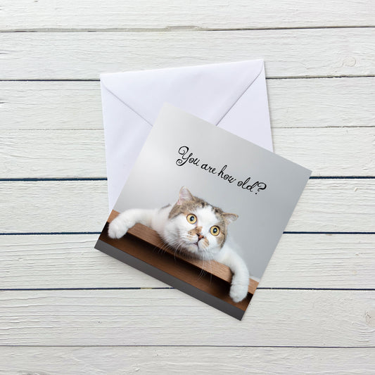 You are how old Cat Birthday Card