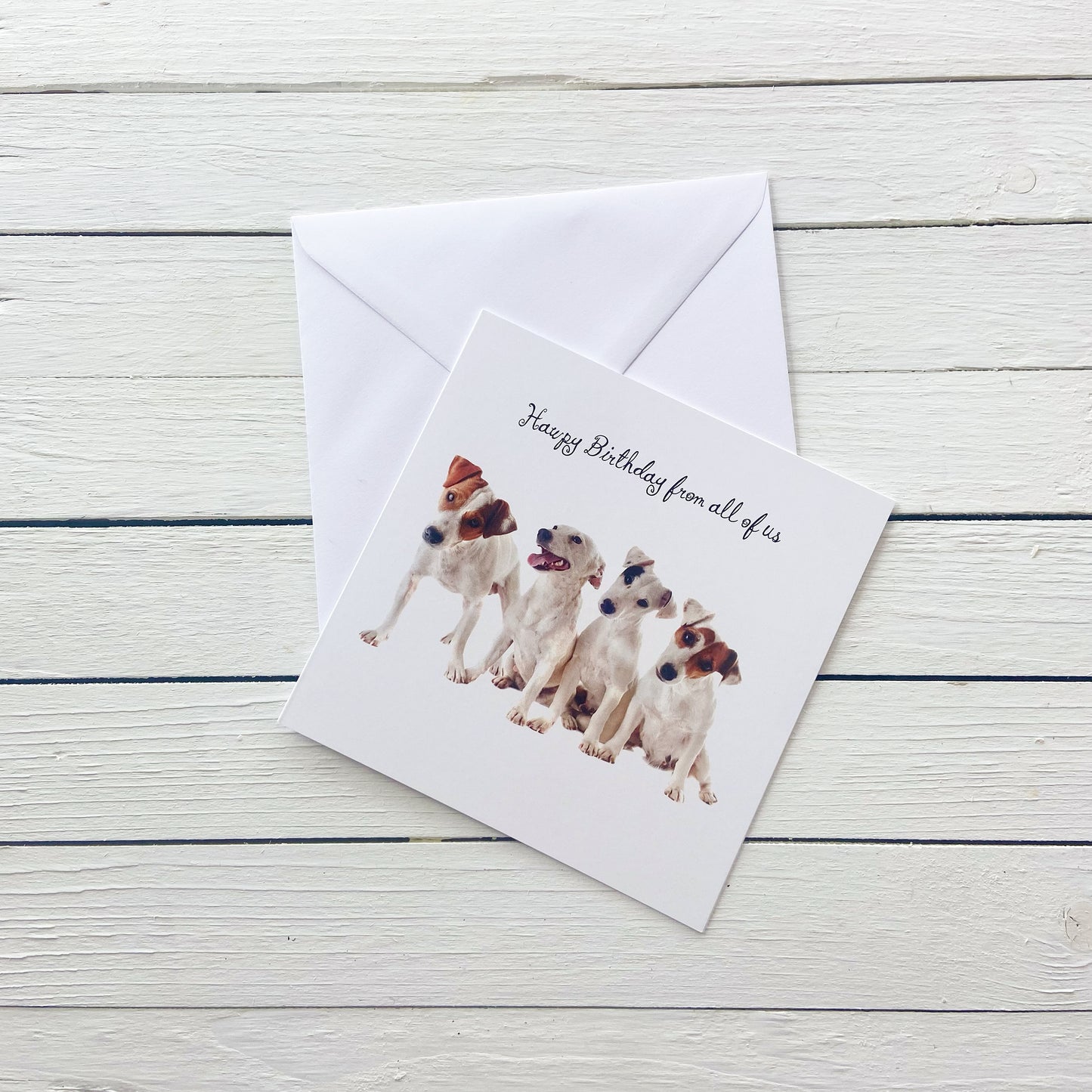 From All of Us Dog Birthday Card