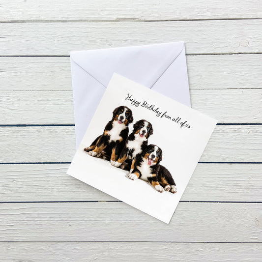 From all of Us Dog Birthday Bernese Card