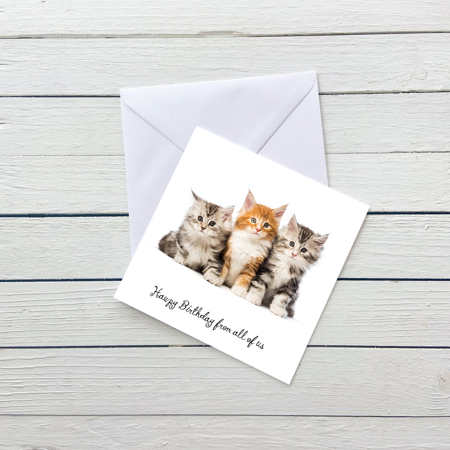 From All of Us Cat Birthday Card