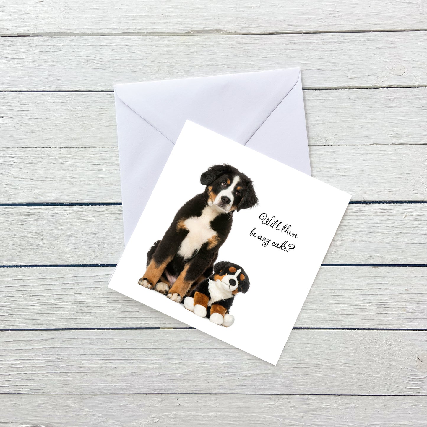 Will There Be Cake Bernese Birthday Card