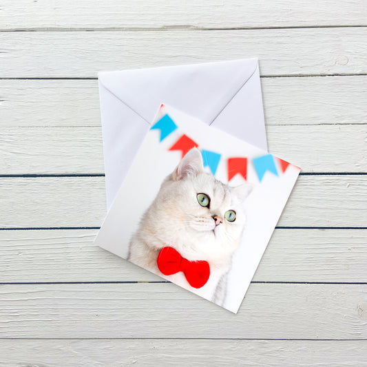 Bunting & Cat Blank Card