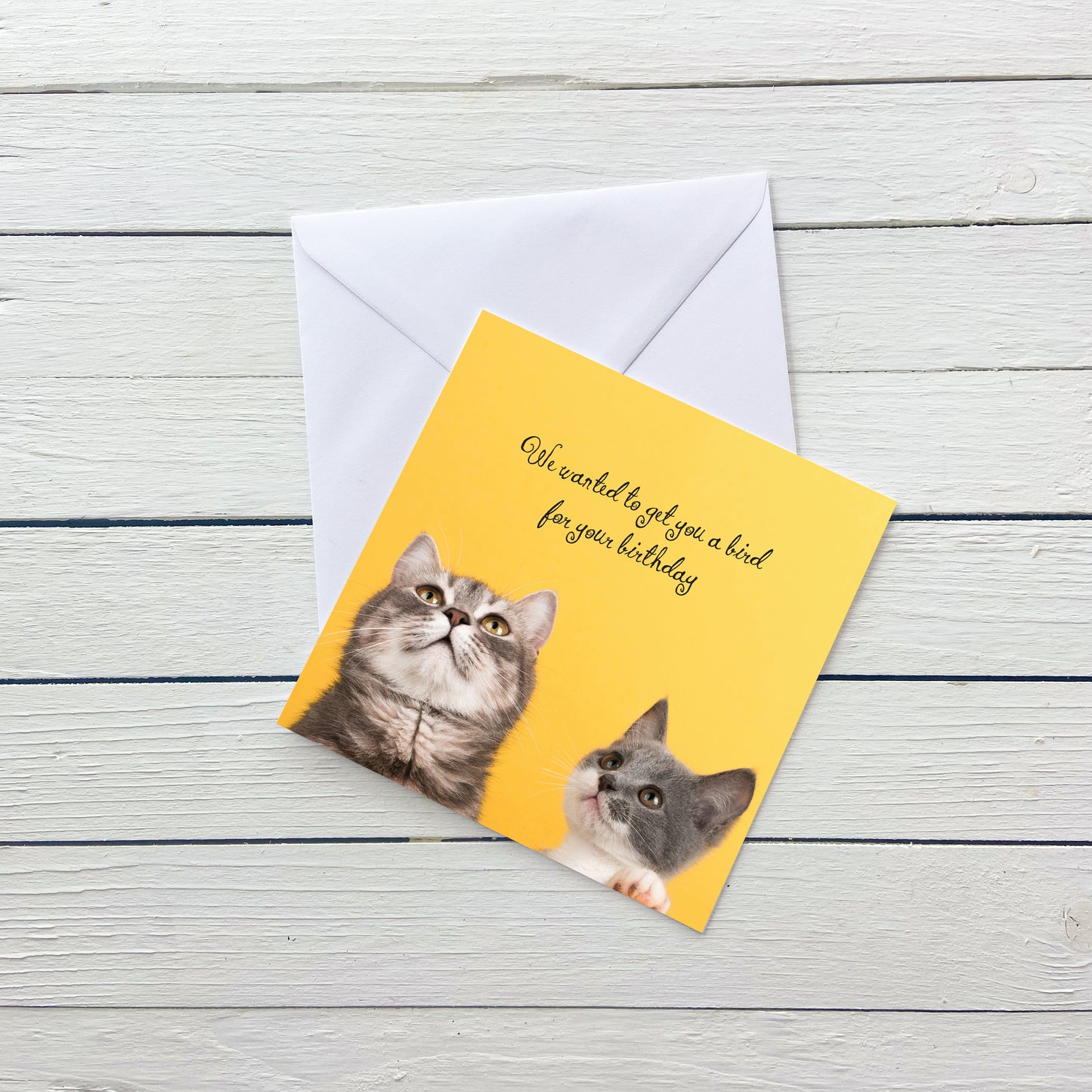 Bird Cat Birthday Card