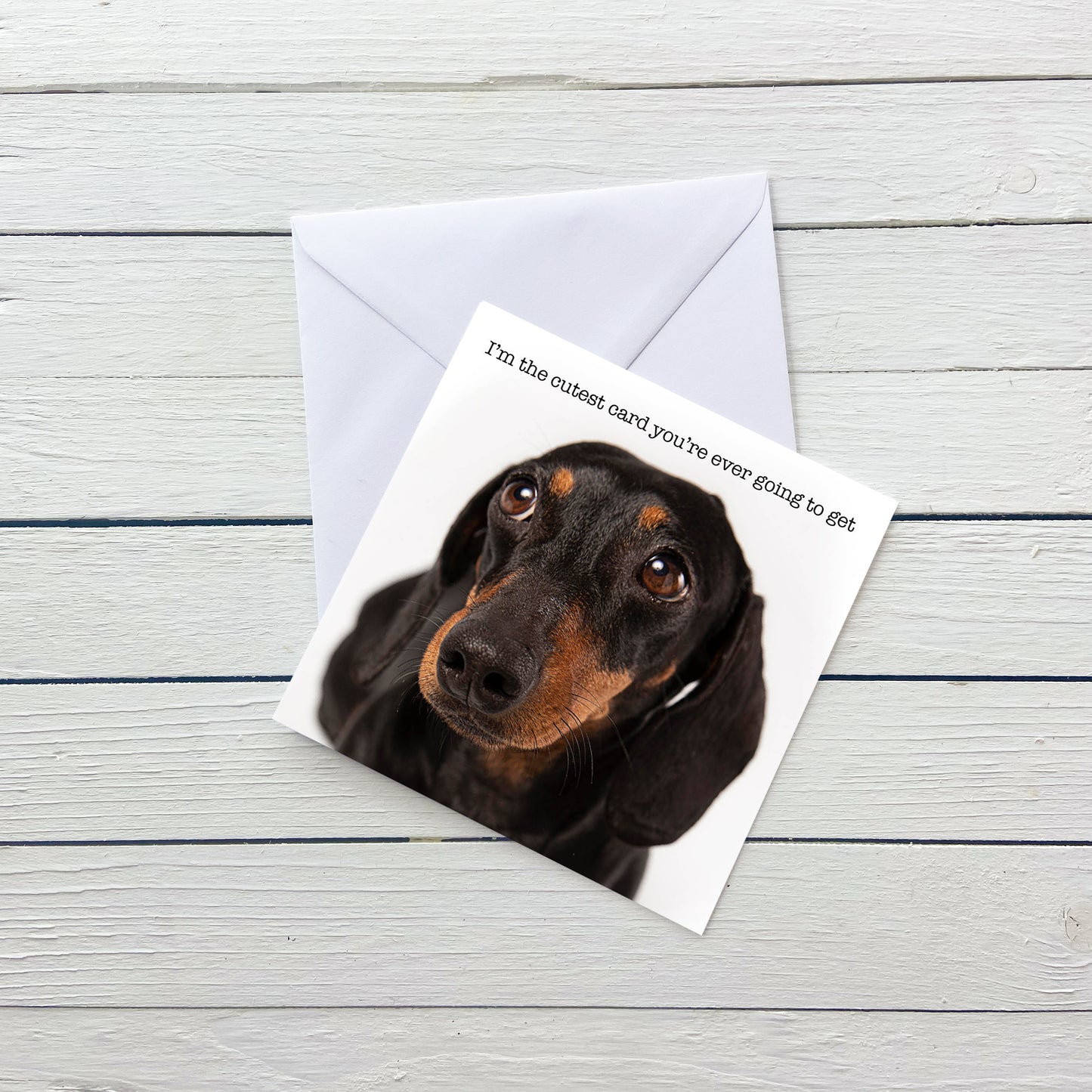 Cutest Ever Dachshund Dog Blank Card