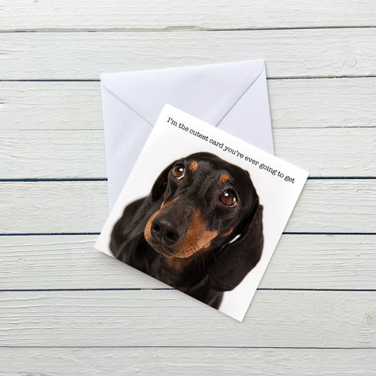 Cutest Ever Dachshund Dog Blank Card