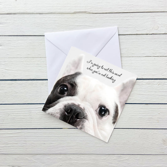 Bulldog Going to Eat This Dog Card