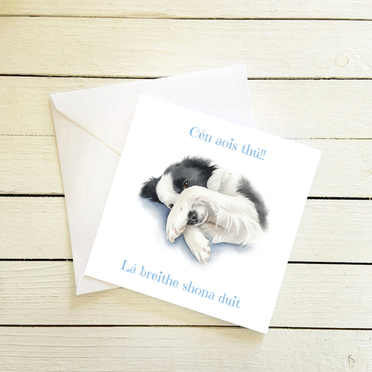 Cén Aois Thú!! | What Age Are You!! | Irish Language Card