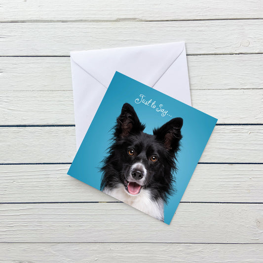 Just to Say Collie Blank Card