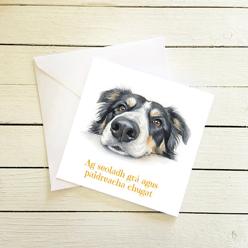 Ag seoladh gra agus padireach chugat Sending Love & prayers - Irish language Card