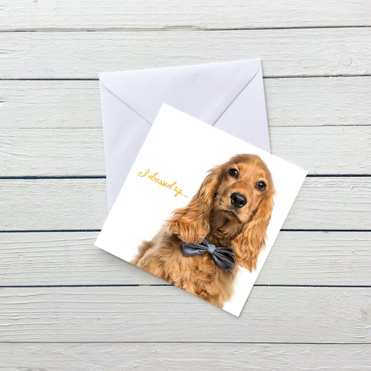 Dressed Up Celebration Card
