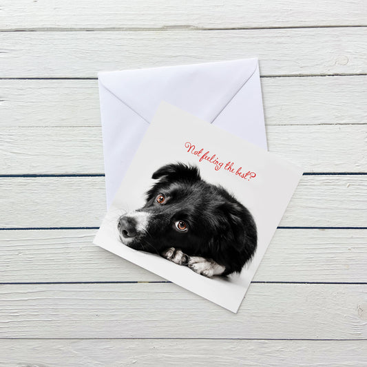 Not Feeling Well Dog Card