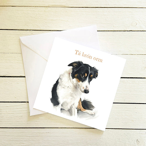 Tá brón orm I'm sorry - Irish language Card