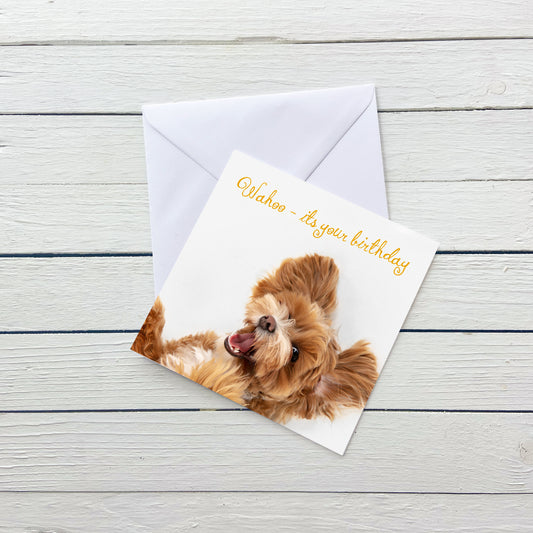 Wahoo - its your birthday Greeting Card