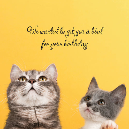 A very cute cat and kitten on a yellow background looking upwards saying they wanted to get you a bird for your birthday but luckily they couldn't 
