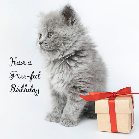 Purrfect Kitten Birthday Card