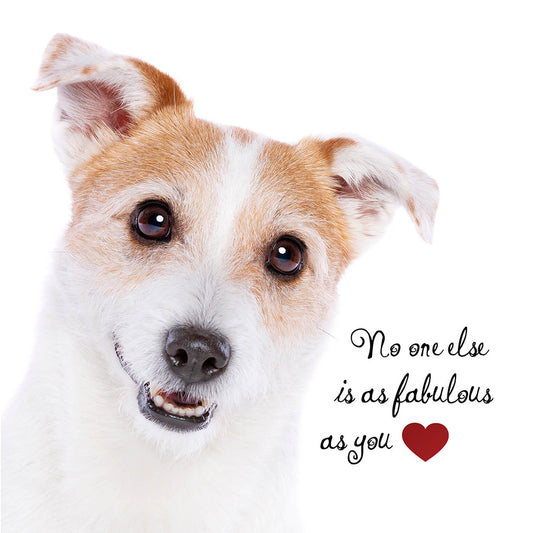 As Fabulous As You Dog Card