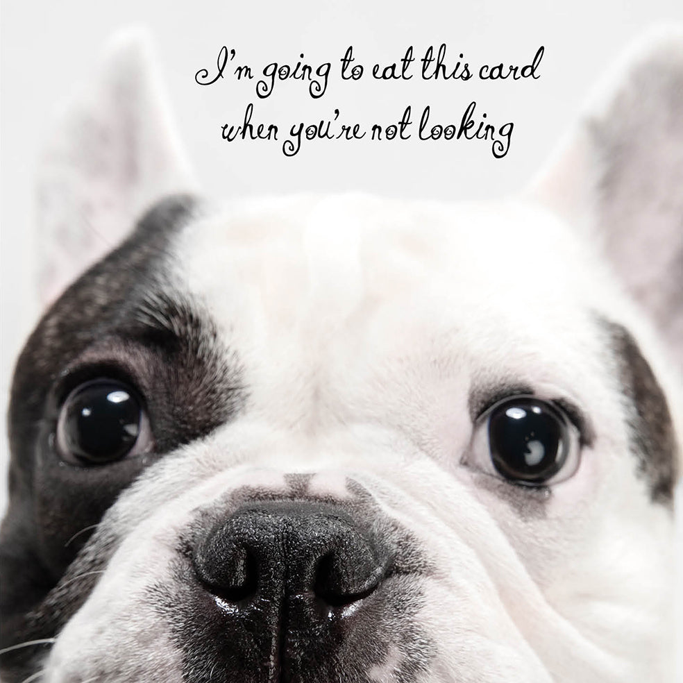 Bulldog Going to Eat This Dog Card
