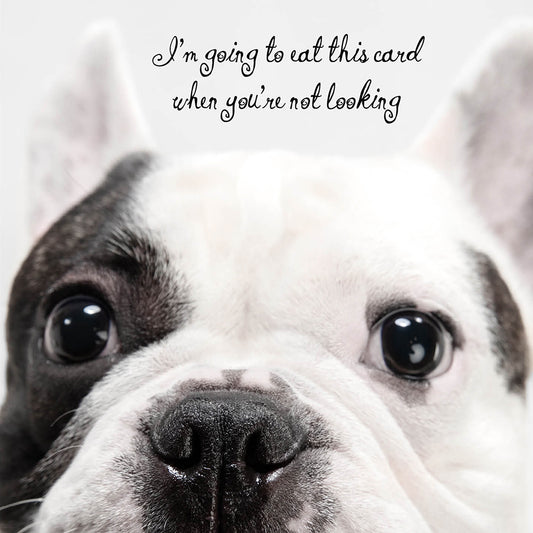 Bulldog Going to Eat This Dog Card