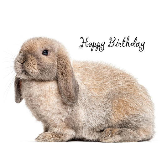 Hoppy Birthday Rabbit Card