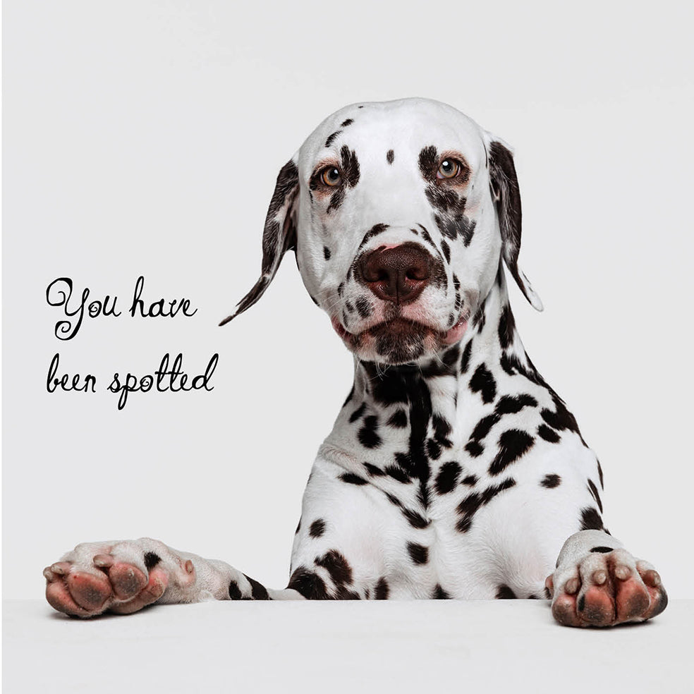 Dalmation Standing Dog Card