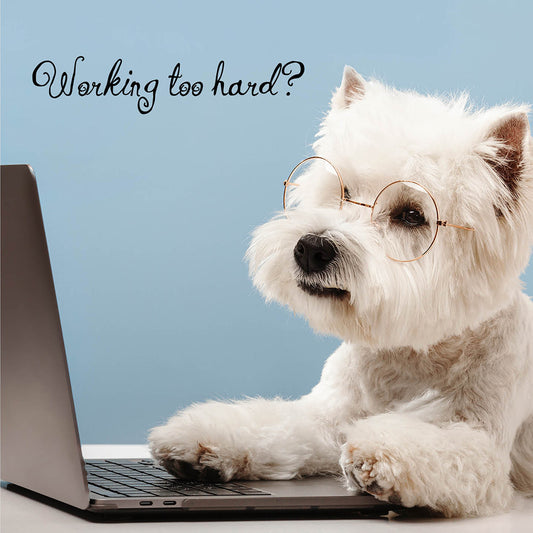 Working Too Hard Dog Card