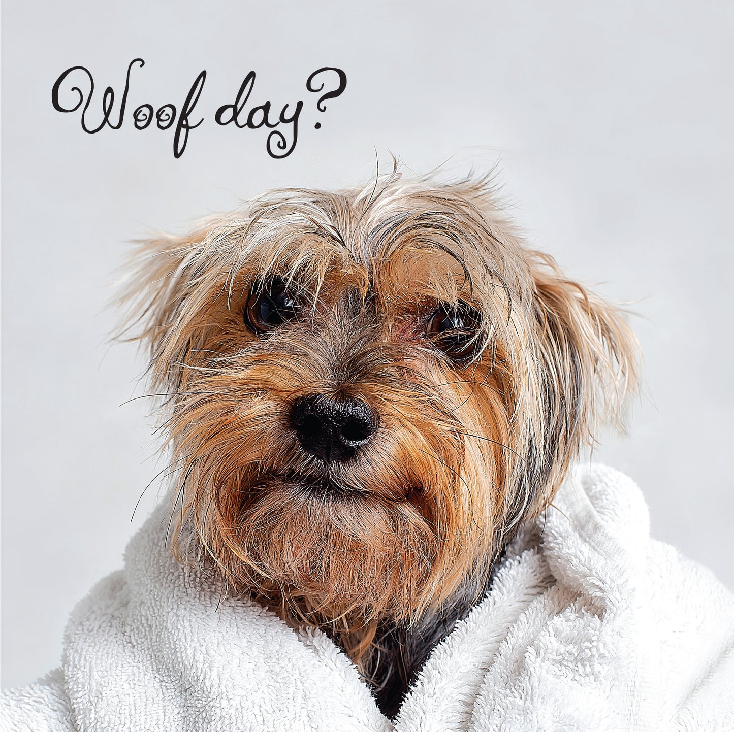 Woof Day Better Soon Card