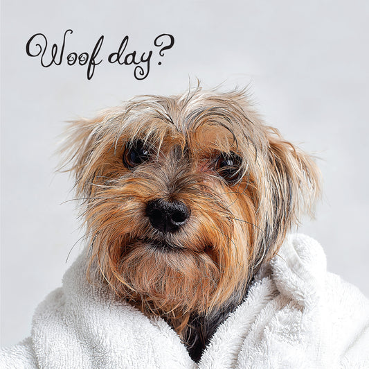 Woof Day Better Soon Card