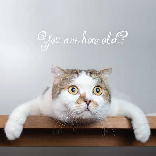 You are how old Cat Birthday Card