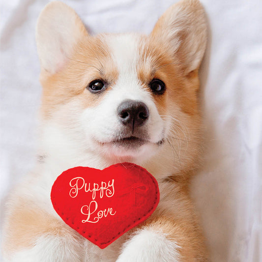 Puppy Love Card