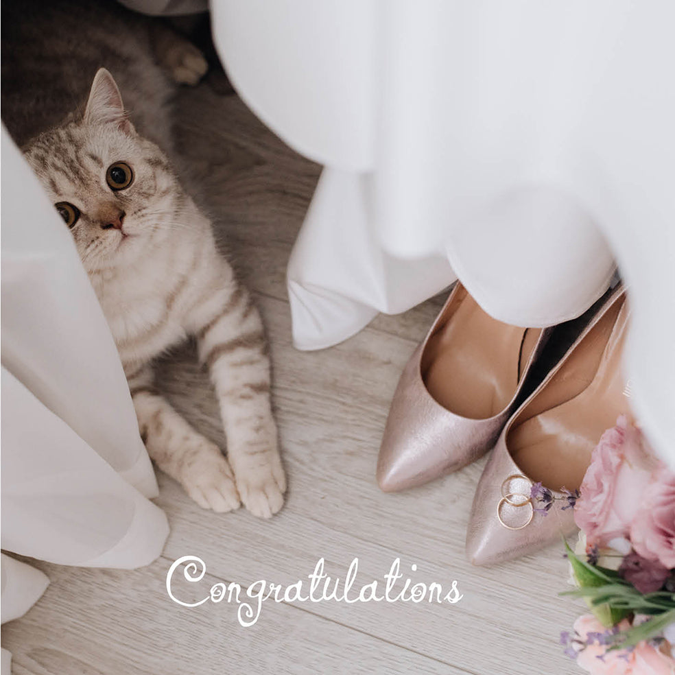 Purrfect Wedding Day Card