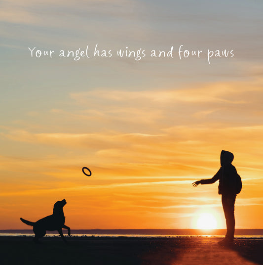 Angel Pet Sympathy Card