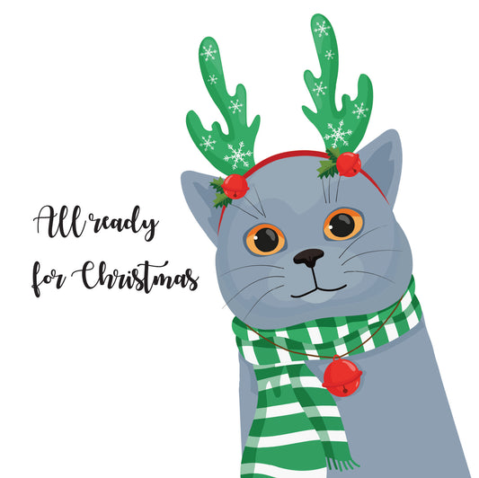 Grey Cat Christmas Card